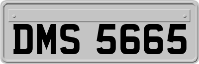 DMS5665