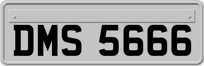 DMS5666