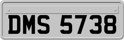 DMS5738