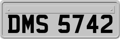 DMS5742