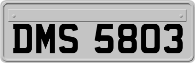 DMS5803