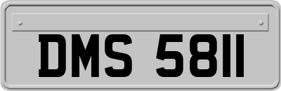 DMS5811