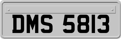 DMS5813
