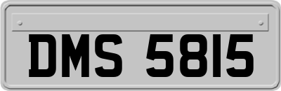 DMS5815