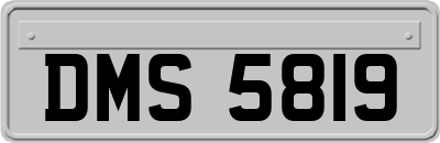 DMS5819