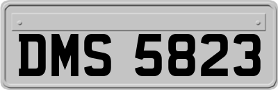 DMS5823