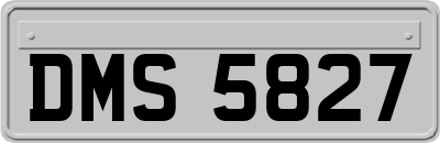 DMS5827