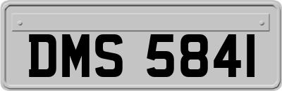 DMS5841