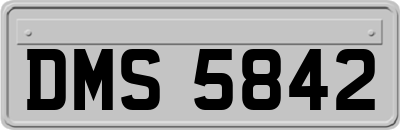 DMS5842
