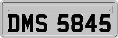 DMS5845