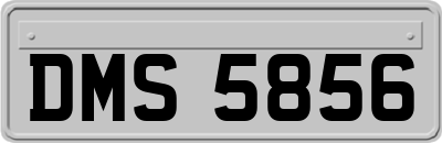 DMS5856