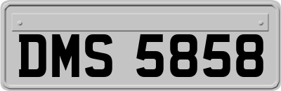 DMS5858