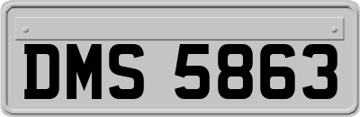 DMS5863