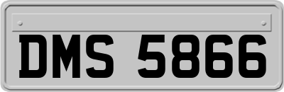 DMS5866