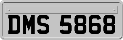 DMS5868