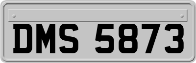 DMS5873
