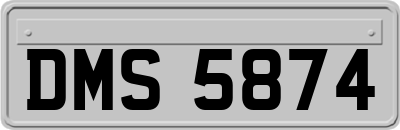 DMS5874