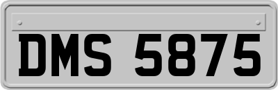 DMS5875