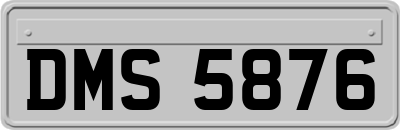 DMS5876