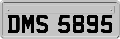 DMS5895