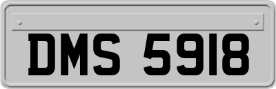 DMS5918