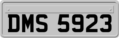 DMS5923