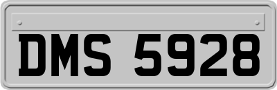 DMS5928