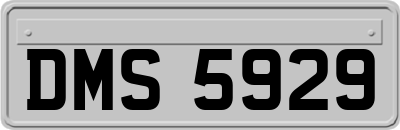 DMS5929