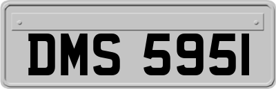 DMS5951