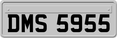 DMS5955