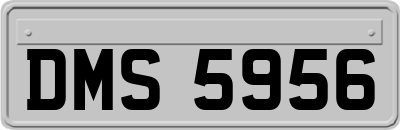 DMS5956