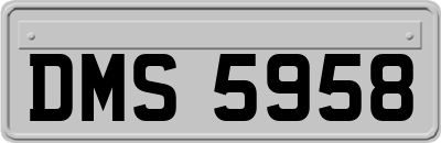 DMS5958