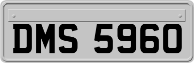 DMS5960