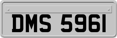 DMS5961