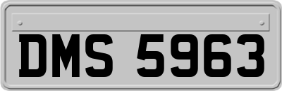 DMS5963