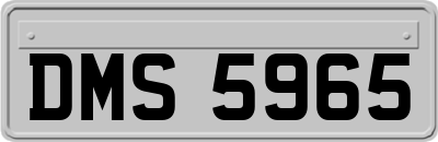 DMS5965