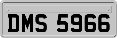 DMS5966