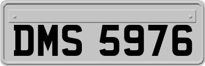 DMS5976