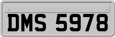 DMS5978