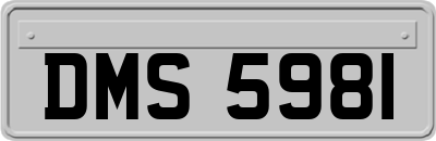 DMS5981