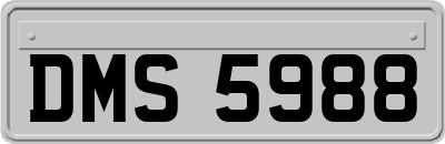 DMS5988