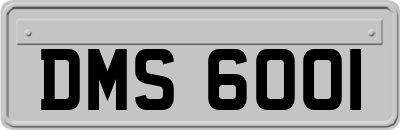 DMS6001