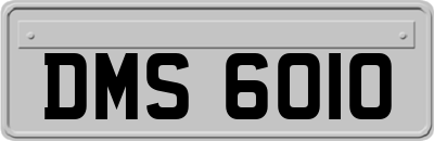 DMS6010
