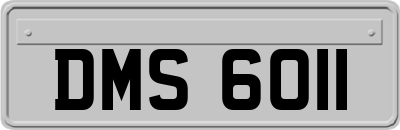 DMS6011