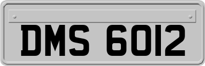 DMS6012
