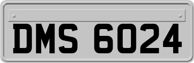 DMS6024
