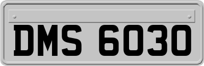 DMS6030