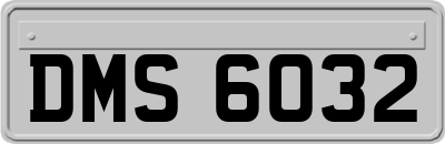 DMS6032