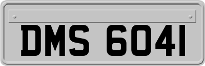 DMS6041