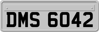 DMS6042